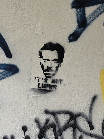 Dr. House in Passau, Germany 2011-03-28